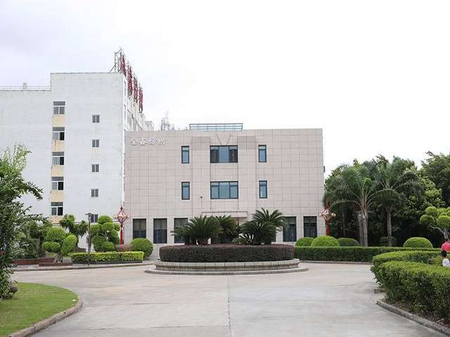 成都格鲁吉亚克维利H10勇士厂商